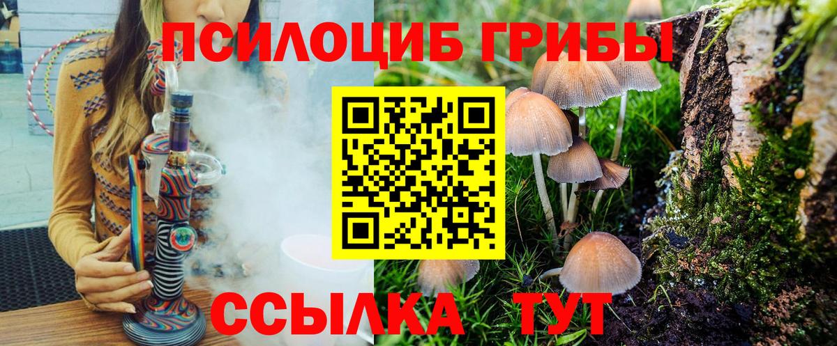 Галлюциногенные грибы Psilocybe Партизанск